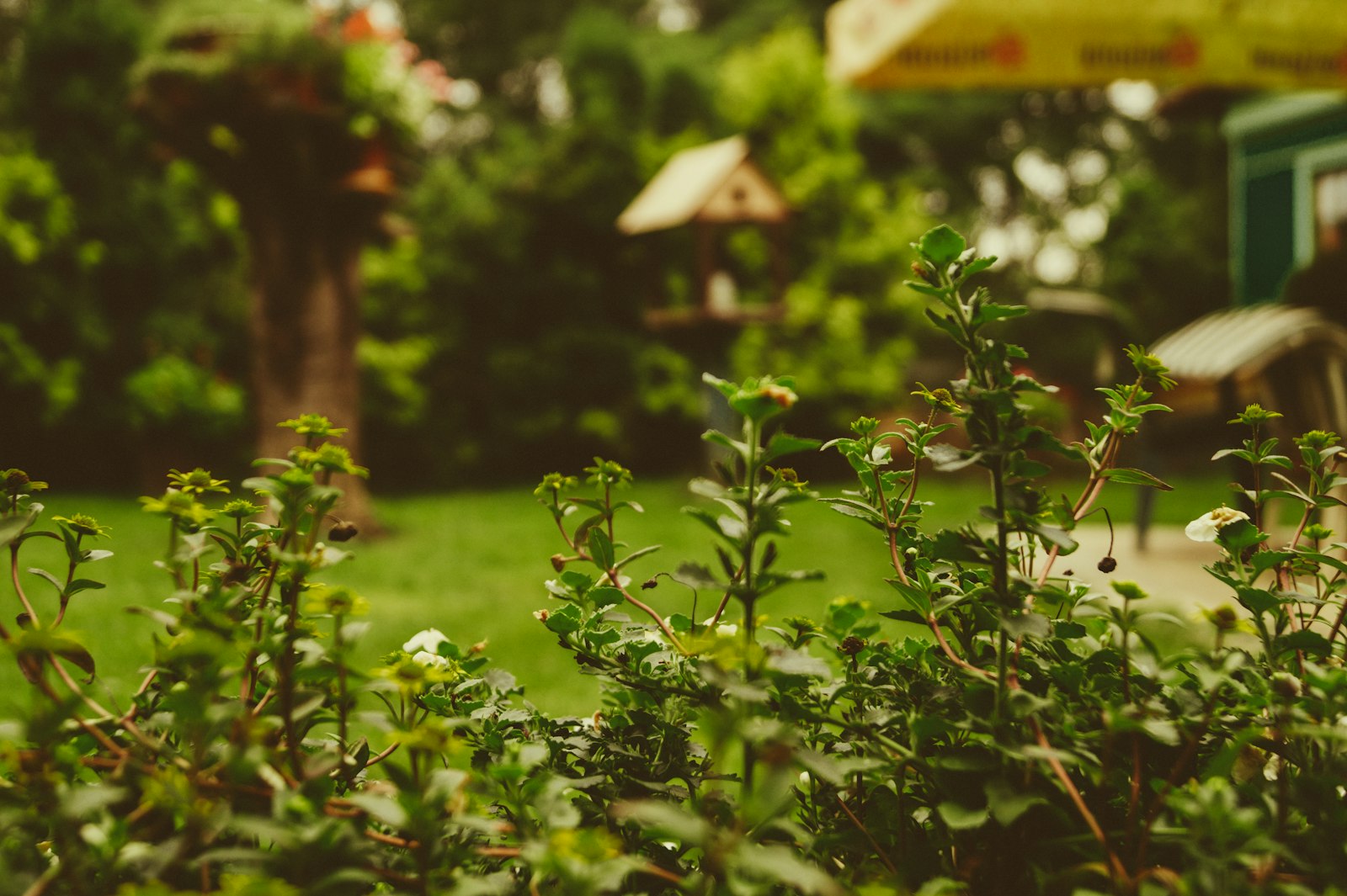 Begrünter Gemeinschaftsgarten mit Vogelhäuschen zwischen den Wohnhäusern.